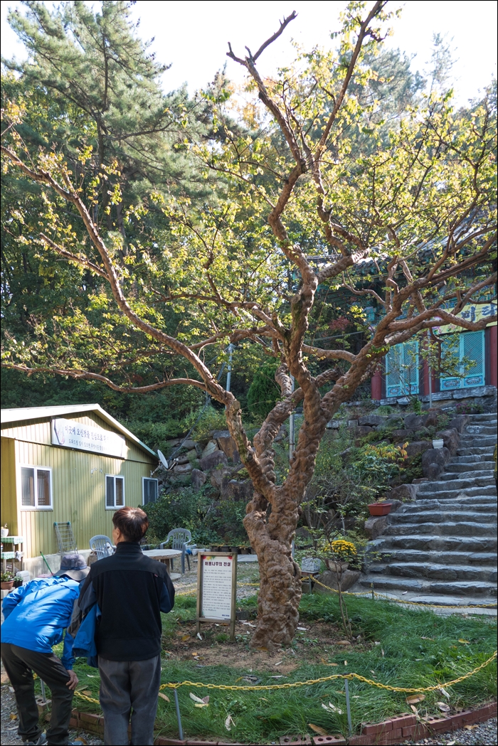 봉하-1070795.jpg