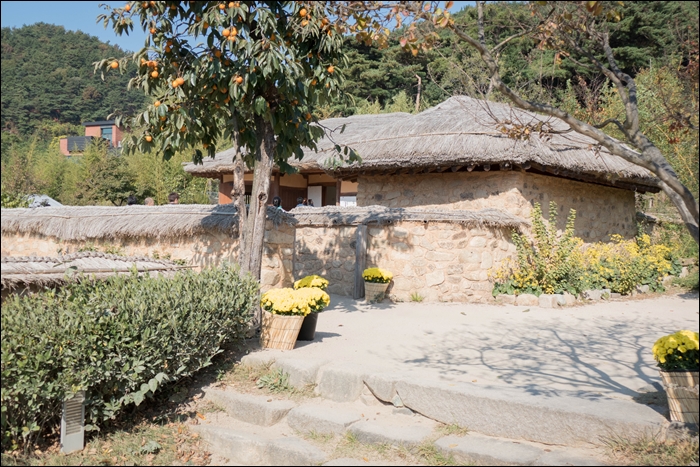 봉하-1070756.jpg