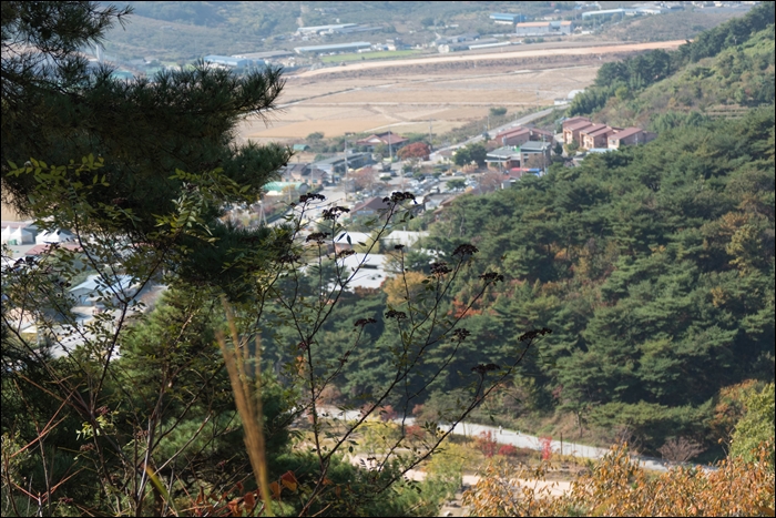 봉하-1070782.jpg
