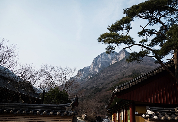 학바위-1050792.jpg