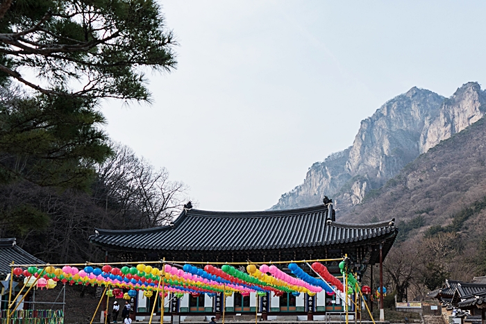 대웅전-1050805.jpg