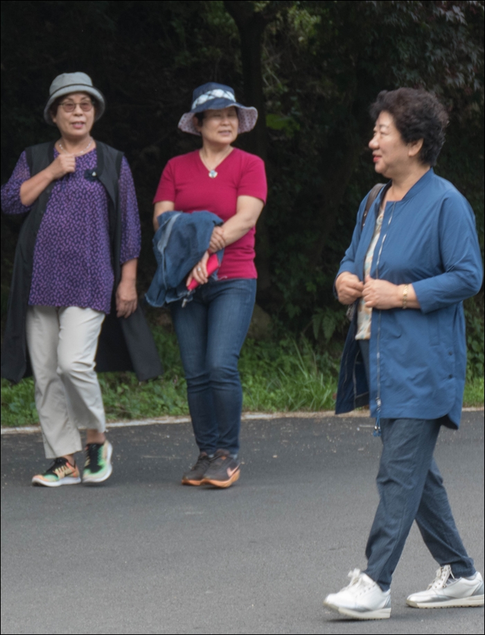 수완보-1070095.jpg