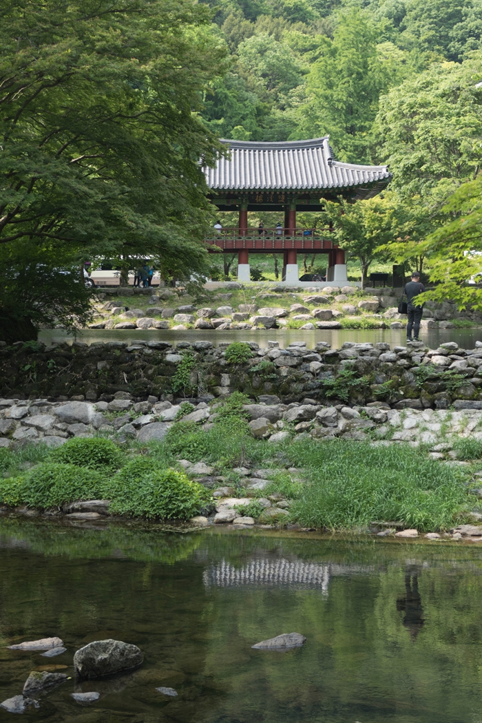 백양사-1060540.jpg