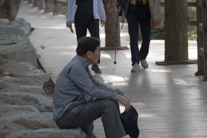 축령산-1060565.jpg