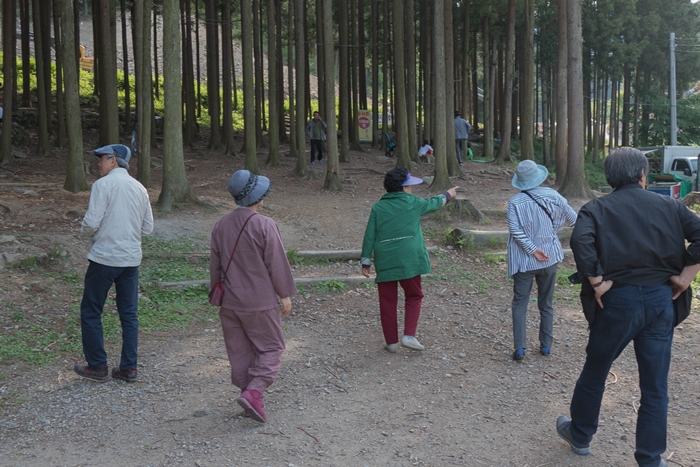 축령산-1060560.jpg