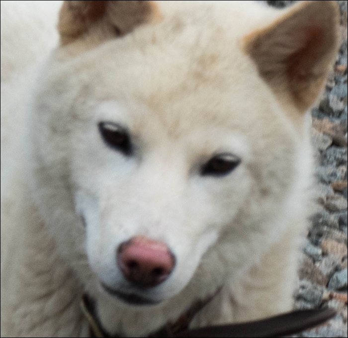 02표정-1060769.jpg