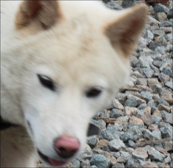 02표정-1060768.jpg