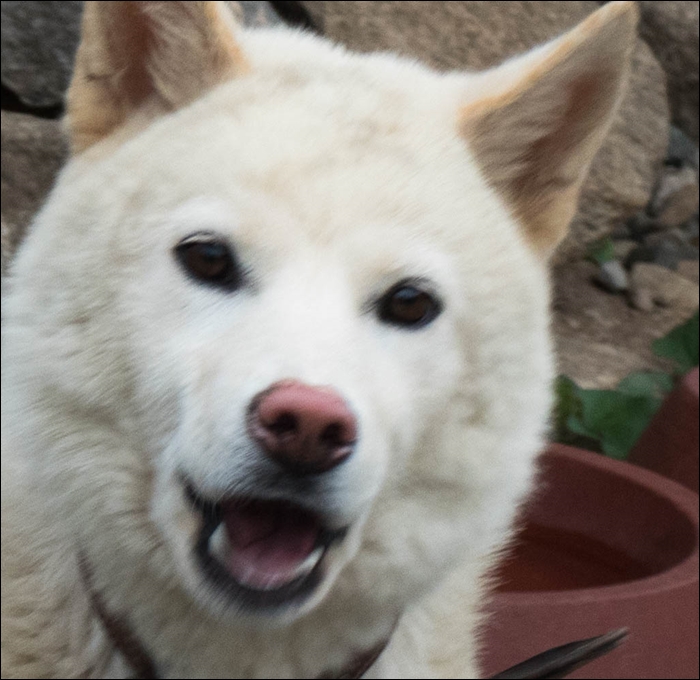 02표정-1060766.jpg
