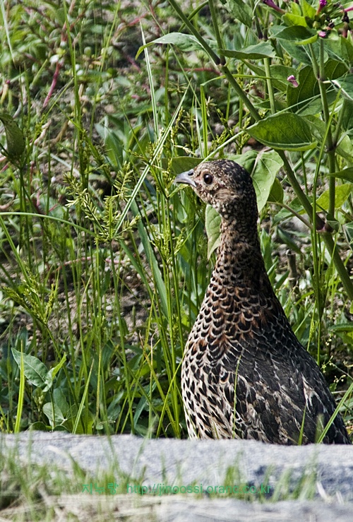 IMG_2577.jpg