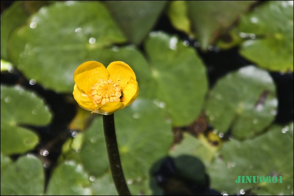 _MG_6374.JPG
