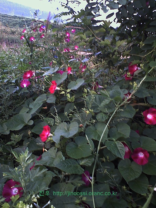 사진090907_005.jpg