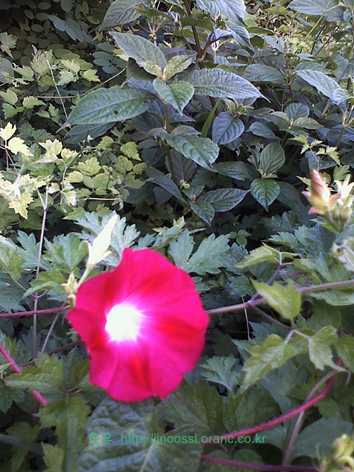 사진090907_006.jpg
