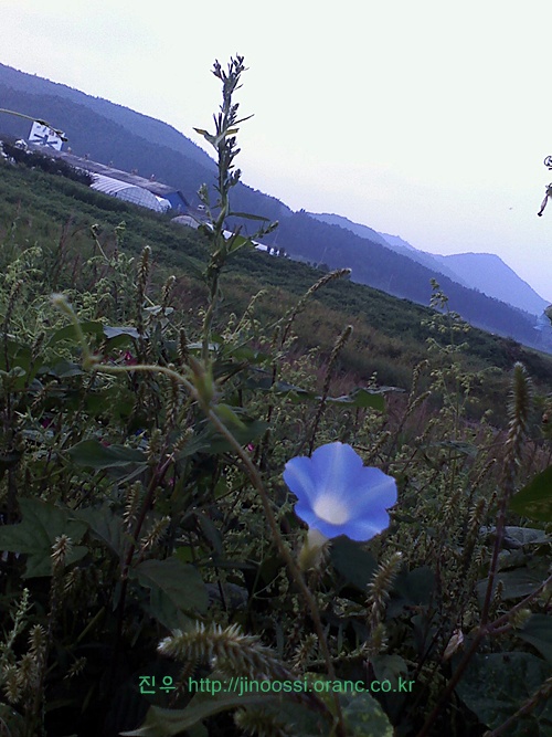 사진090907_008.jpg