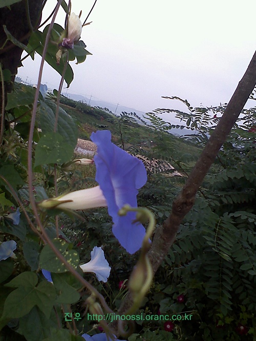 사진090907_010.jpg