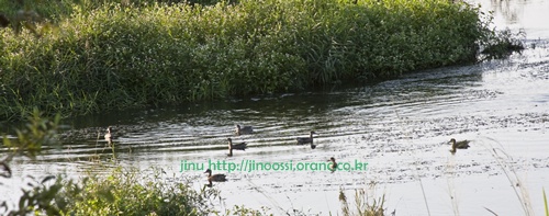 IMG_3284.jpg