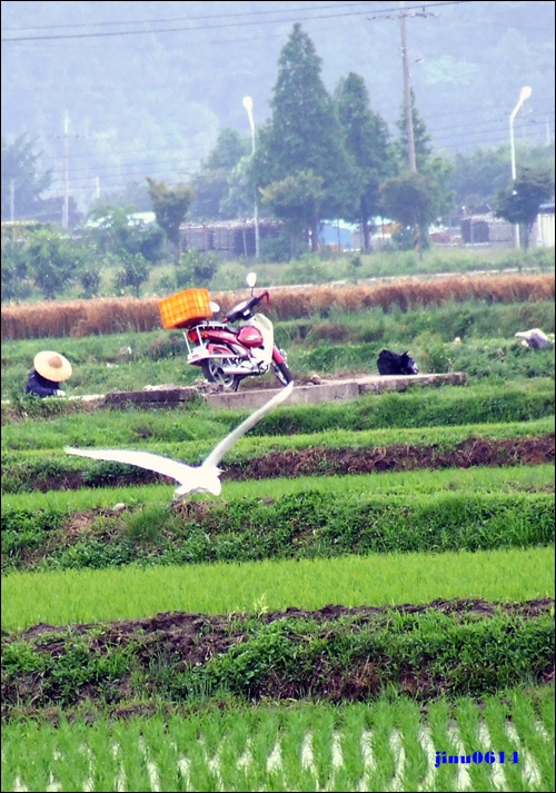 DSCF2110.JPG