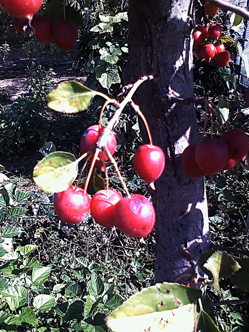 사진091005_015.jpg