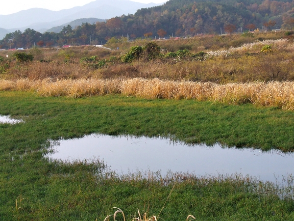 DSCF1713.JPG