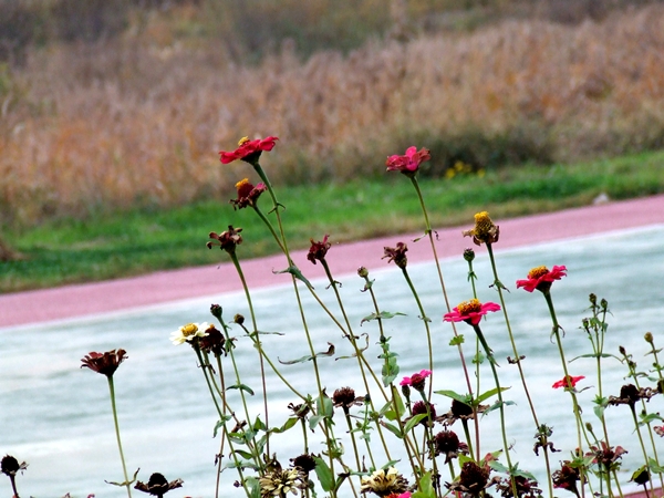 DSCF1722.JPG
