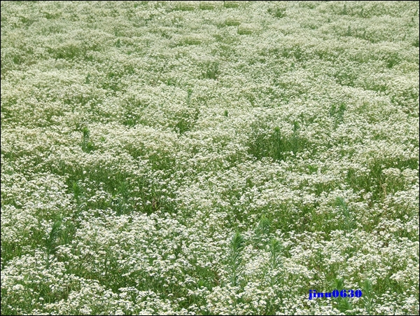 DSCF2123.JPG